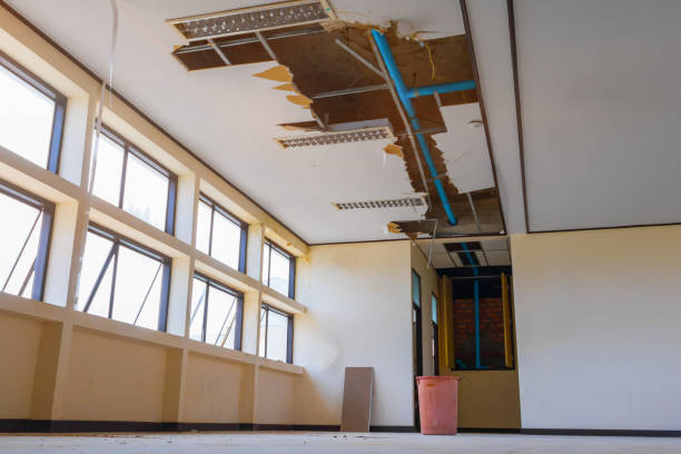 Best Mold removal after water damage  in Sour Lake, TX