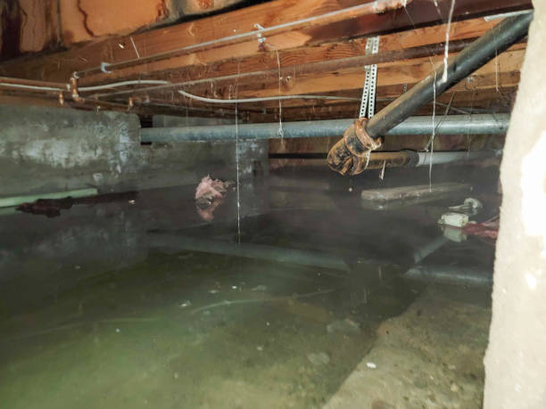 Best 24/7 water damage repair  in Sour Lake, TX