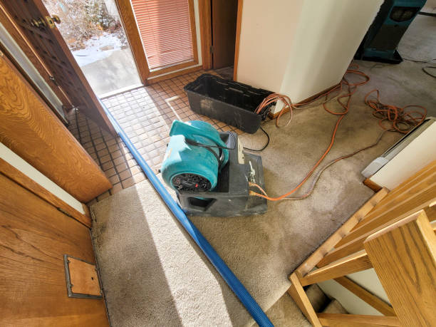 Best Water damage restoration specialists  in Sour Lake, TX