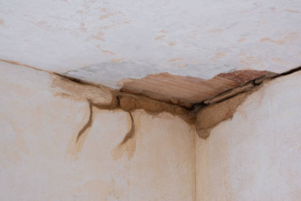 Trusted Sour Lake, TX Water damage restoration Experts