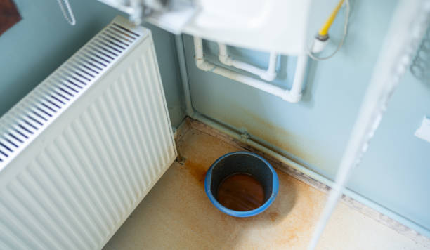 Best Fire Damage Restoration  in Sour Lake, TX