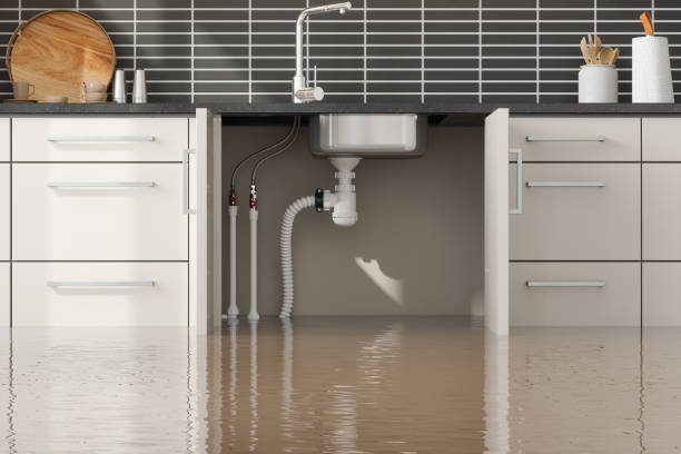 Best Emergency water damage restoration  in Sour Lake, TX