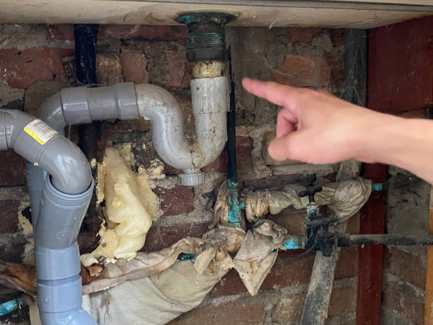Water damage restoration mold remediation in Sour Lake, TX