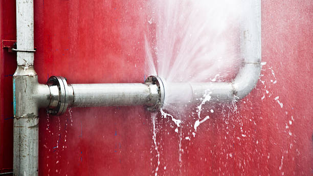 Best Flood damage cleanup  in Sour Lake, TX