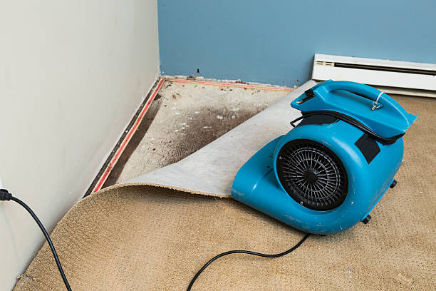 Best Carpet water damage restoration  in Sour Lake, TX